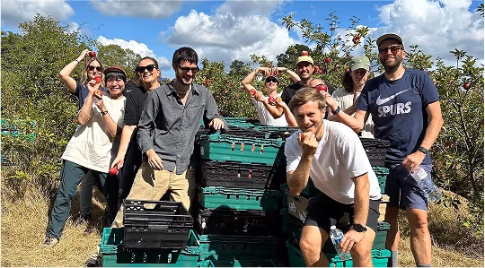 Koto Studio Impact Team in a field harvesting produce