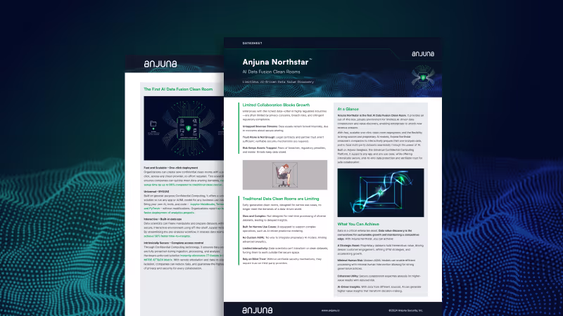 Anjuna Northstar PDF thumbnail