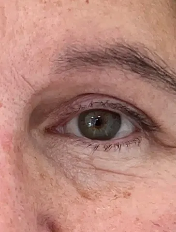 Close-up of a human eye with light skin, visible eyebrow, and some wrinkles around the eye.